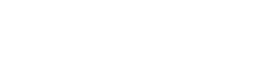 Der Deutsche Reisemarkt